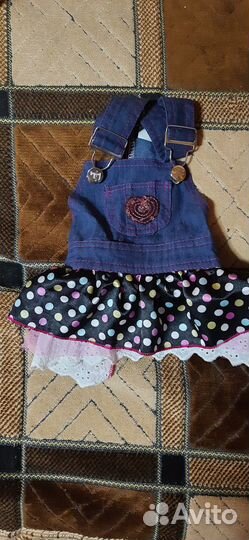 Одежда для животных