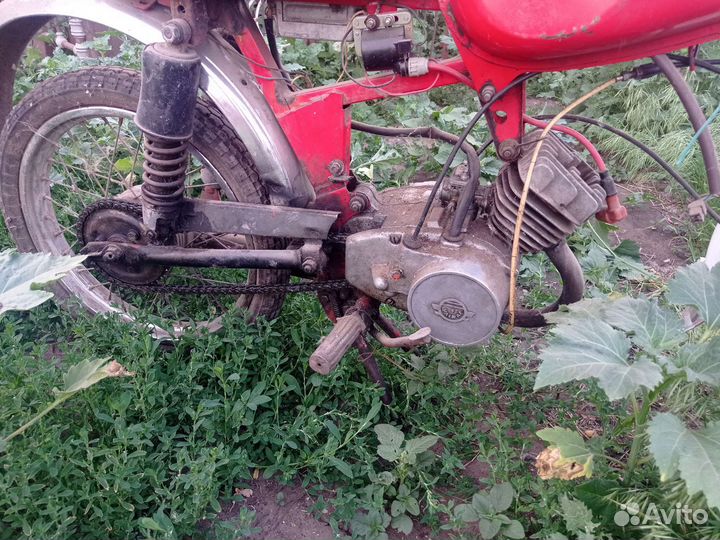 Карпаты спорт