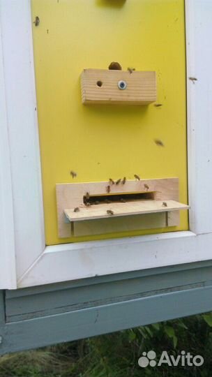 Павильон для пчел