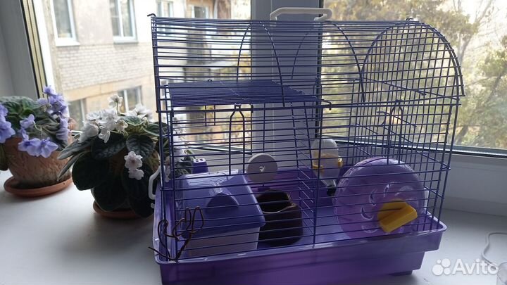 Клетка для джунгарского хомяка