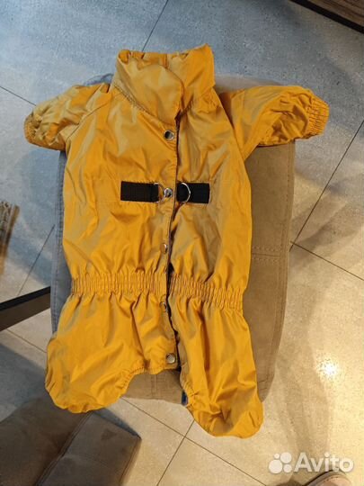 Комбинезон для маленькой собаки девочки