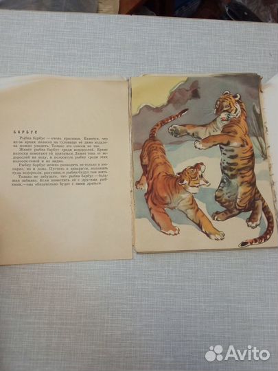 Детская книга 1964 г