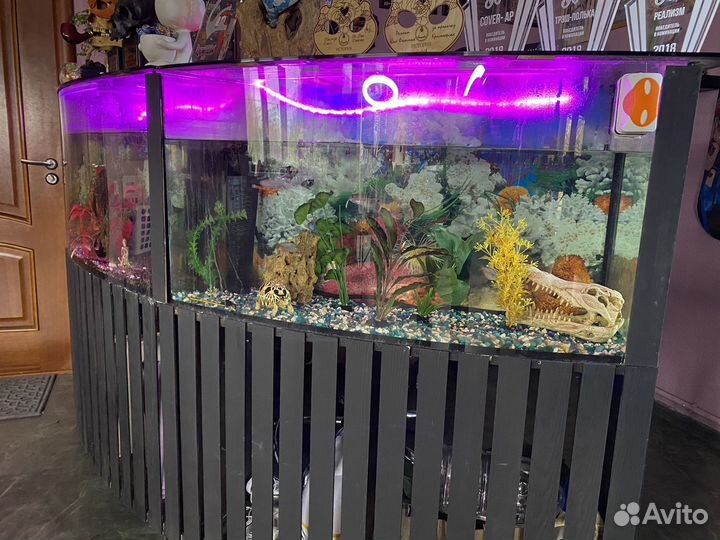 Аквариумы от 200 литров