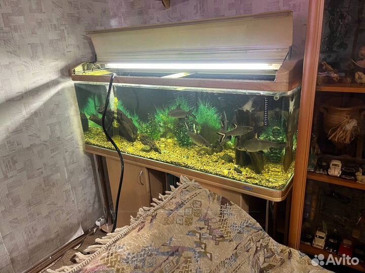 Аквариум с тумбой jebo R250