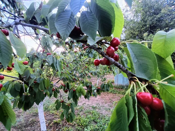 Дом 75 м² на участке 15 сот.