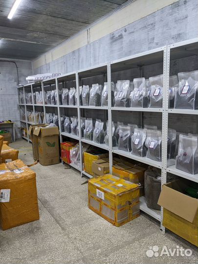 Чай оптом из Китая