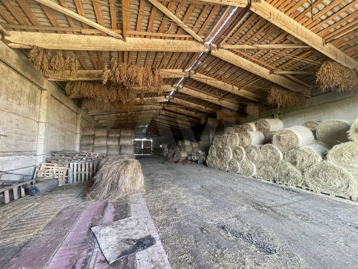 Свободного назначения, 997 м²