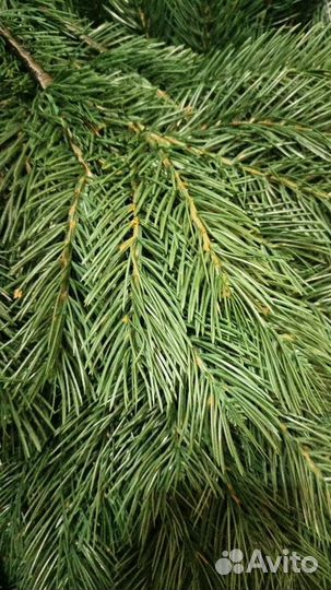 Ель искусственная Вирджиния 1,8м Литая