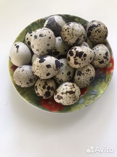 Яйцо перепелиное