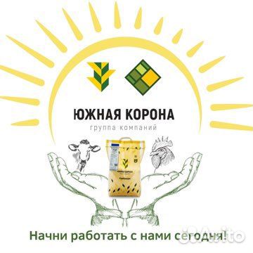 Южная Корона в Пробуждение
