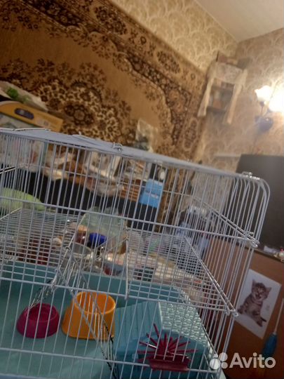 Клетка для грызунов Хомяков и крыс