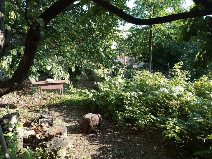 Участок 6,6 сот. (СНТ, ДНП)