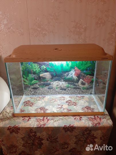 Аквариум 94.5 литра, фильтр, термометр, другое