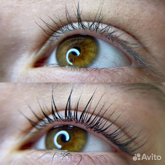 Обучение на ламинирование ресниц