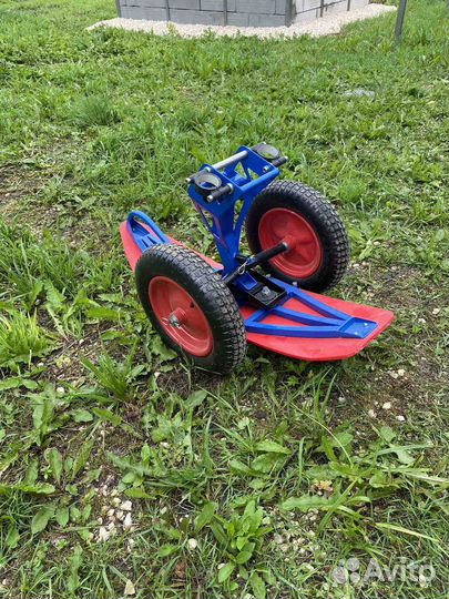 Гусянка Кубена hobby