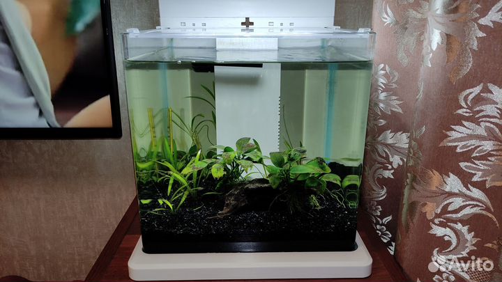 Аквариум-креветочник Hailea E15 (15 литров)