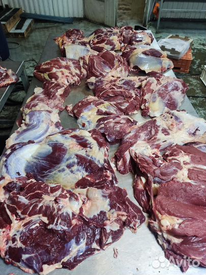 Мясо говядина