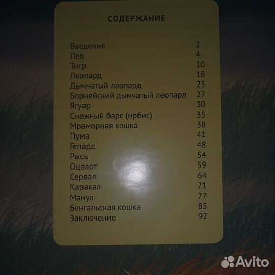 Энциклопедия 