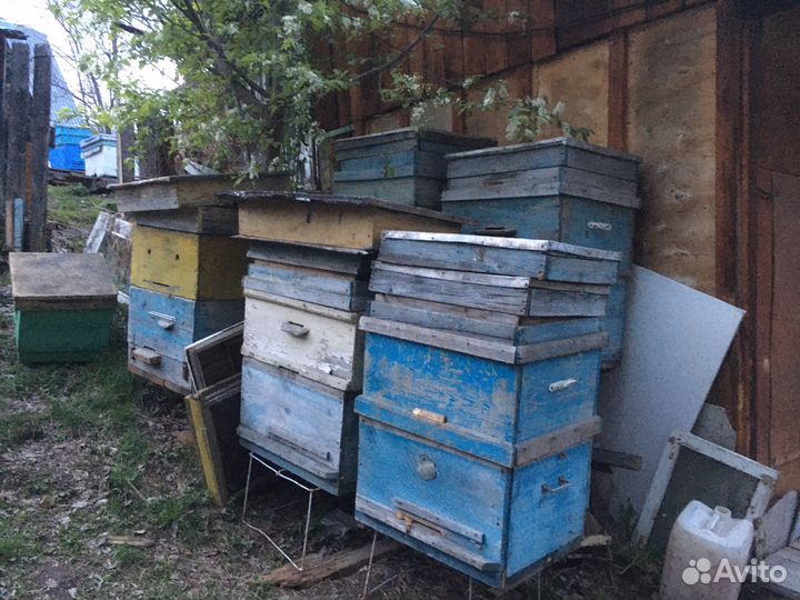 Улей для пчел бу