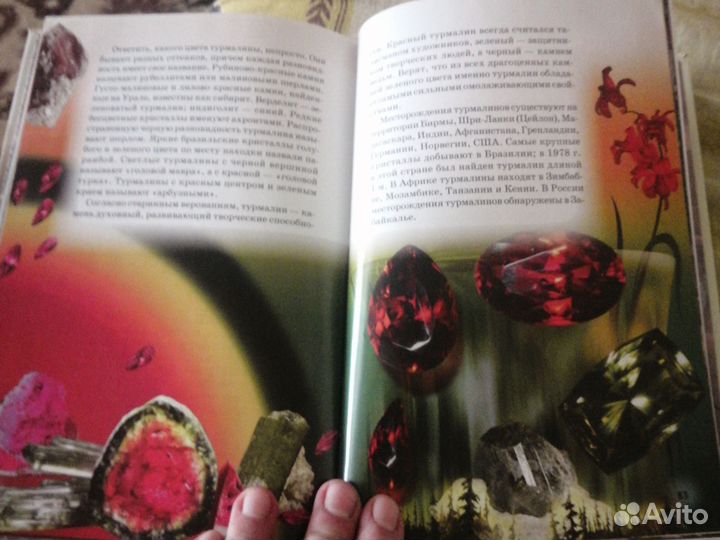 Книга из серии узнай мир, природа