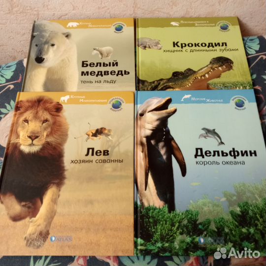 Книги учебники