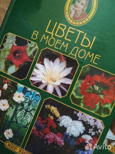 Энциклопедия современной женщины