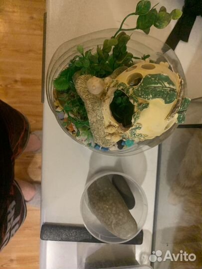 Аквариум, дикорации и фильтр