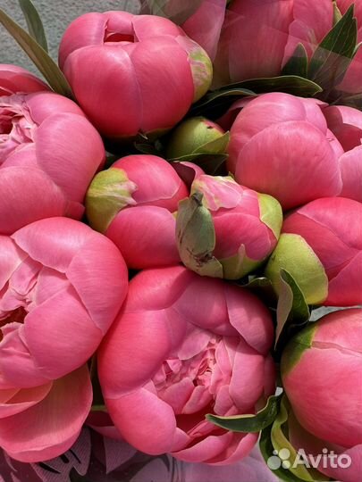 Продавец флорист