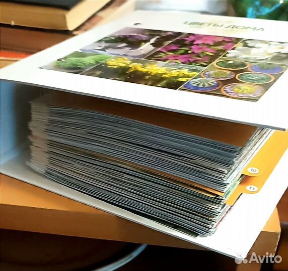 Энциклопедия комнатных растений