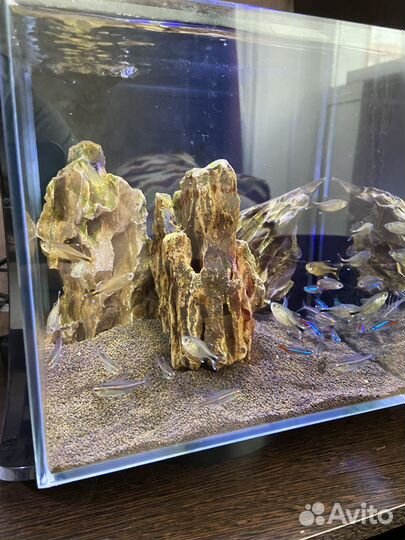 Аквариум Tetra 19л