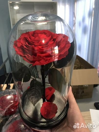 Подарок на любой день, роза в колбе VIP