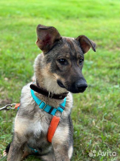 Ребенок в приюте