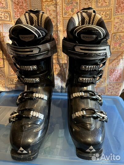 Горнолыжные ботинки fisher progressor