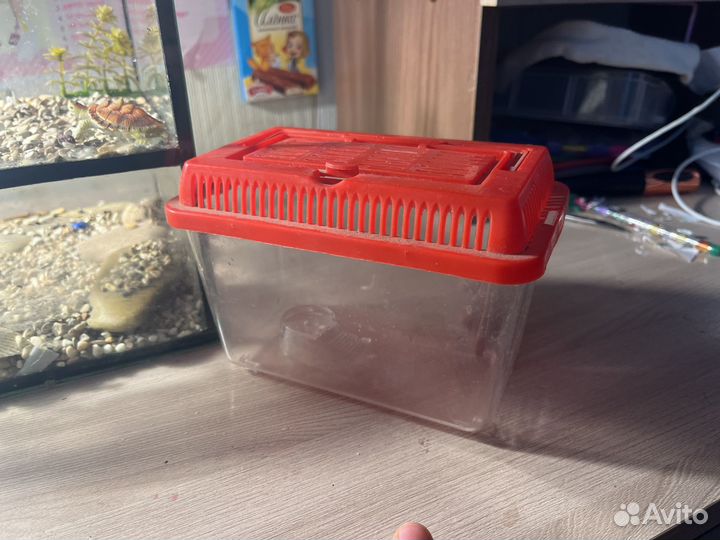 Аквариум для черепах