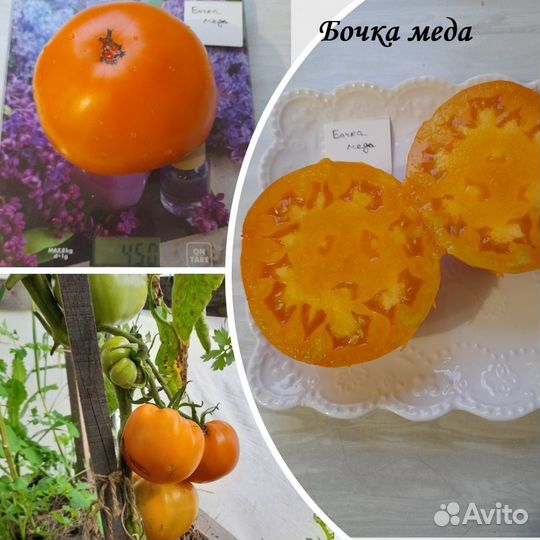 Семена крупноплодных томатов много сортов