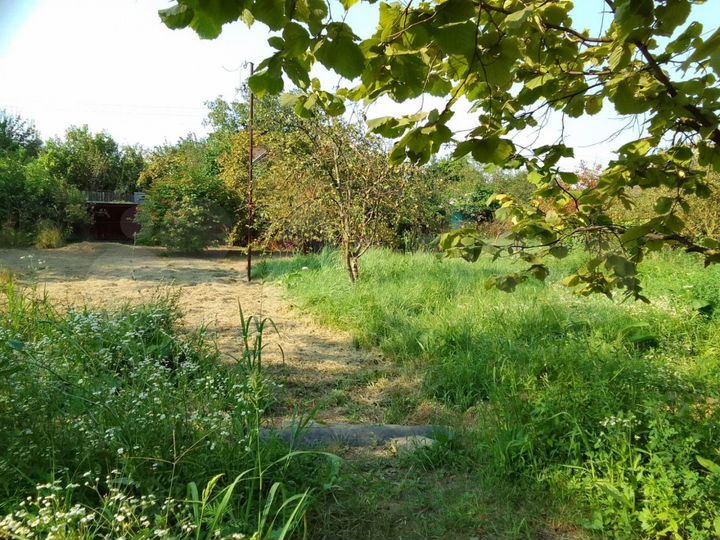 Участок 10 сот. (ИЖС)