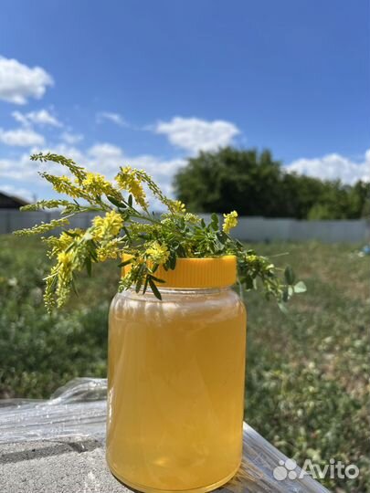 Мед алтайский оптом с пасеки
