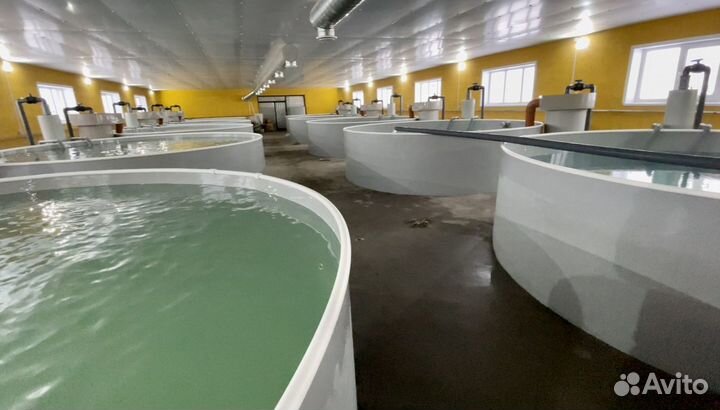 Строительство узв