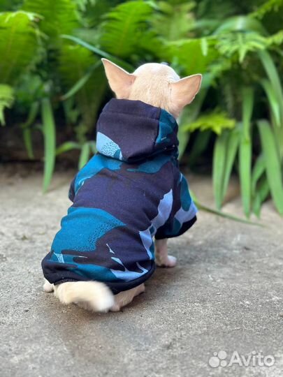 Футболка для собак