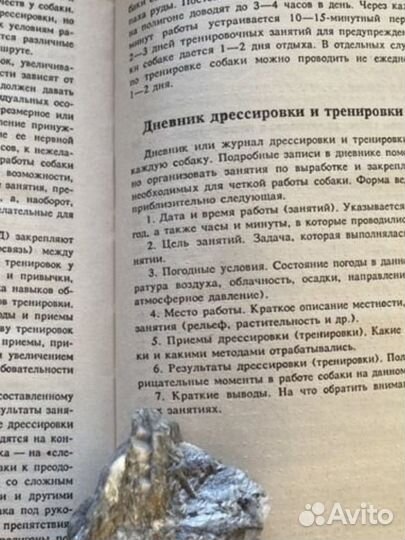 Книга. Все о собаке
