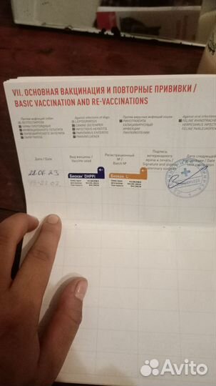 Смесь Хаски Стаф