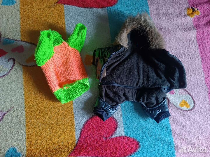 Вещи для маленьких собак