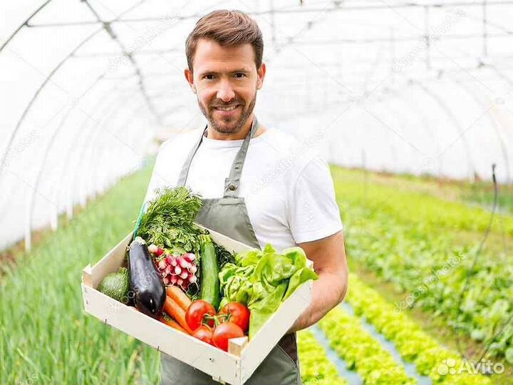 Овощевод вахта г. Белгород