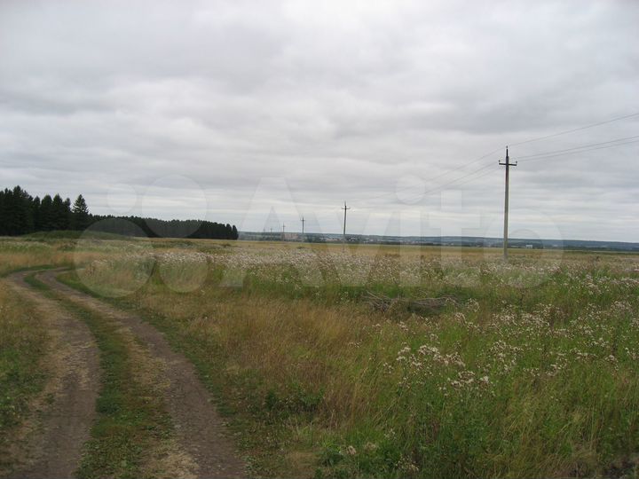 Участок 12,5 сот. (ИЖС)