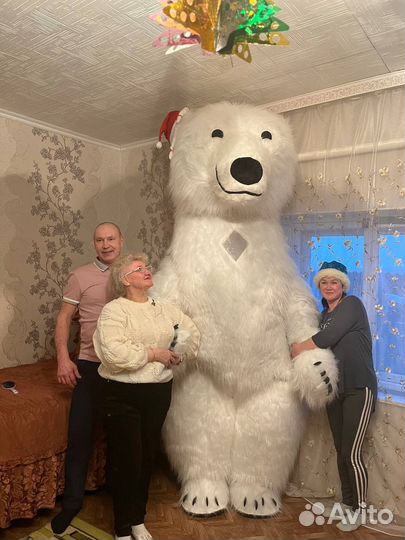 Мишка - Крутышка, поздравление от медведя