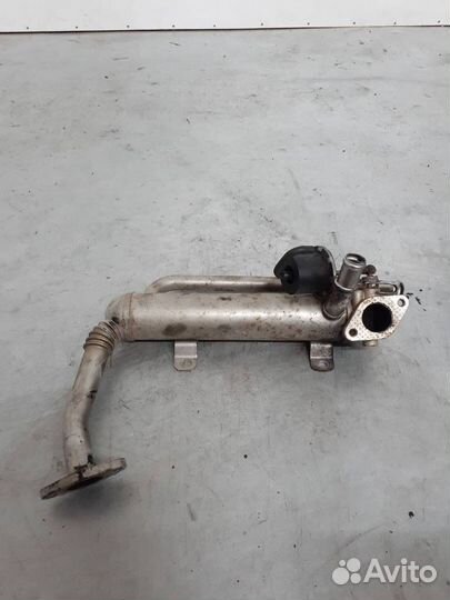 Радиатор EGR Volkswagen Passat B6 2008 03G131512