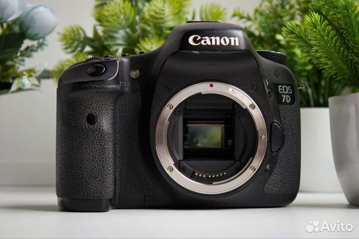 Canon 7D + Комплект