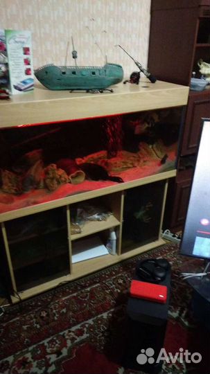 Аквариум