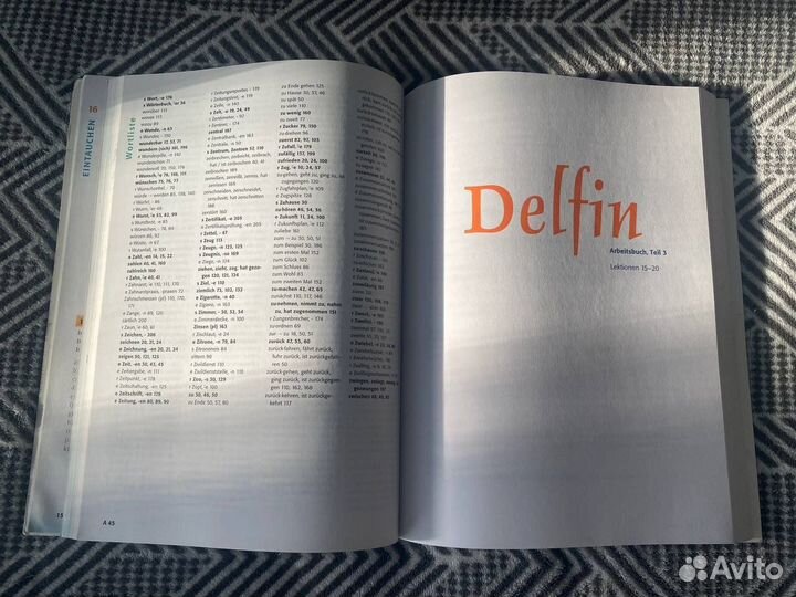 Delfin Hueber B1 учебник+тетрадь в одной книге