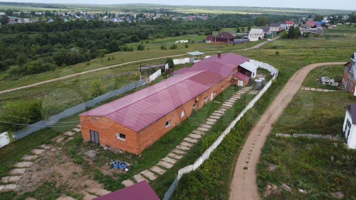 Свободного назначения,828 м²(пищевое производство)